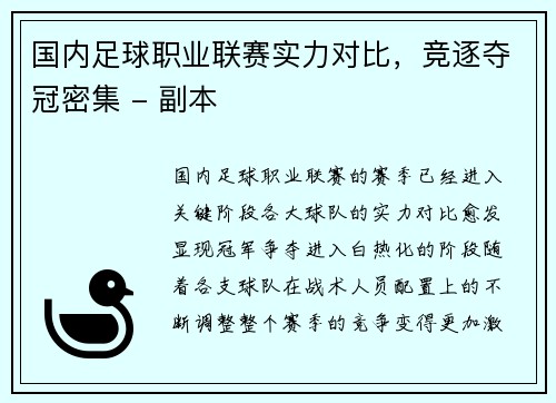 国内足球职业联赛实力对比，竞逐夺冠密集 - 副本