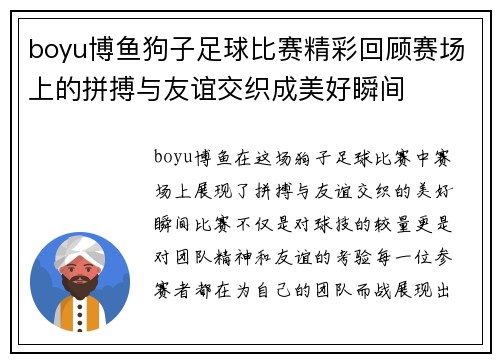 boyu博鱼狗子足球比赛精彩回顾赛场上的拼搏与友谊交织成美好瞬间